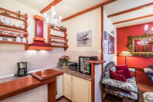 Kuchyň nebo kuchyňský kout v ubytování Emperor's Suites