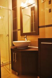 a bathroom with a sink and a mirror at Albatrosz Apartman in Gyula