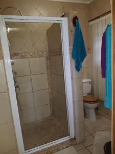 a bathroom with a shower and a toilet at Cassiandra Place unit 2 in Richards Bay