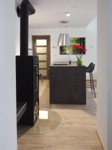 Il comprend une cuisine et un salon avec un poêle noir. dans l'établissement Apartments ViTa, à Kranjska Gora