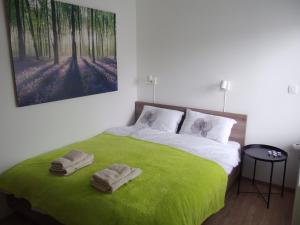 Un pat sau paturi într-o cameră la Apartments ViTa
