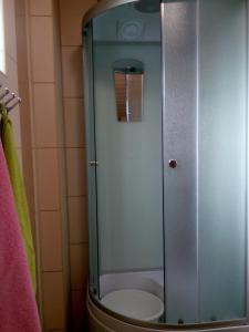 オリギンカにあるNovyi Sezonのバスルーム(ガラス張りのシャワー、トイレ付)