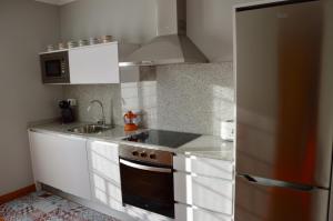 A kitchen or kitchenette at Apartamentos Montejurra