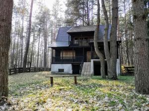 una casa en el árbol en medio de un bosque en Warchały near Szczytno, RUSTIC LODGE at Lake en Narty