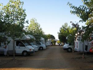 a row of white trucks parked in a parking lot at AltaMarea in Stintino +8 photos
