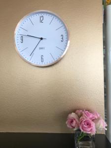 a clock hanging on a wall with pink roses at Hotel Kras in Postojna