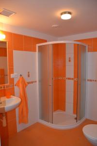Kúpeľňa v ubytovaní Apartmány Ski Lift