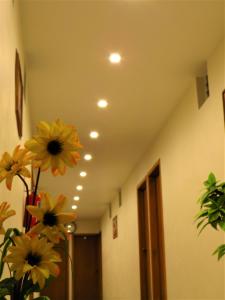 Fotografie z fotogalerie ubytování Hotel Purisima Concepción v destinaci Landa de Matamoros