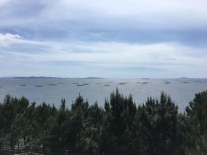 Fotografie z fotogalerie ubytování Camping Ria de Arosa 1 v destinaci Pobra do Caramiñal
