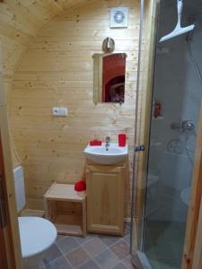 een kleine badkamer met een wastafel en een douche bij LES GITES DU PARC MANTOCHE LE TONNEAU in Mantoche