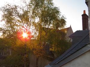 a view of the sun shining through a tree at L'échappée in Bourges