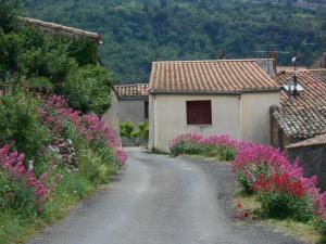 une route menant à une maison aux fleurs roses dans l'établissement Maison Palmeral, à Coustaussa