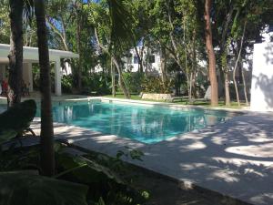 einen Pool in einem Garten mit Bäumen in der Unterkunft Casa Coral 4 habitaciones in Puerto Morelos