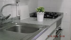 a kitchen sink with a potted plant on the counter at Sea & You Algarve Apartment in Lagos
