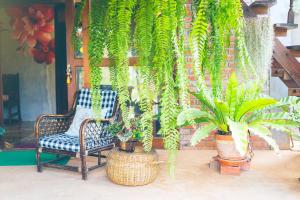 a porch with a chair and a bunch of plants at Wang Jai Kwang Space Inn in Chongsadao