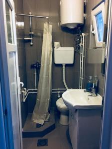 La salle de bains est pourvue d'une douche, de toilettes et d'un lavabo. dans l'établissement Apartmani ,,Bato,,, à Sjenica