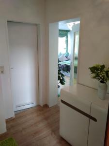 een kamer met een deur en een plant op een dressoir bij Maja in Füssen +13 foto's