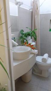 a bathroom with a sink and a toilet with plants at Departamentos de la Reina Roja in Palenque