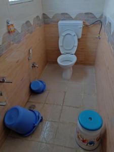 A bathroom at Blue Crystal Lodge