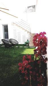 a yard with two benches and a bush with red flowers at meridiano12 in Favignana