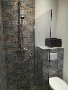 La salle de bains est pourvue d'une douche en verre et de toilettes. dans l'établissement Erve Het Roolvink Boerderij Appartementen 40-50 M2, à Enschede