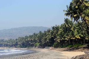 - une plage avec quelques palmiers et l'océan dans l'établissement Shree Samarth Farmhouse, à Murud