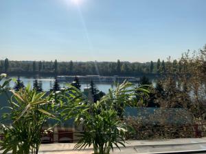 a view of a body of water with two plants at Glamour in Budapest