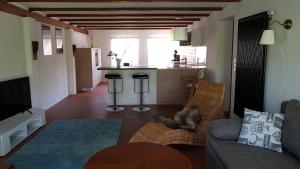 TV a/nebo společenská místnost v ubytování Gut Belgerhof Steinbach Ferienwohnung