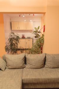 a couch sitting in a living room with plants at Kiev Central Apartment in Kyiv