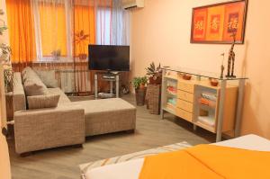 a living room with a couch and a tv at Kiev Central Apartment in Kyiv