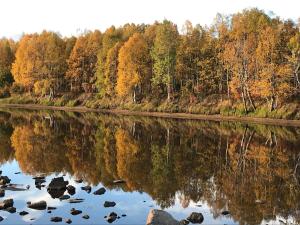 Paesaggio naturale nelle vicinanze dell'affittacamere