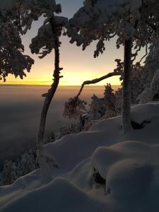 Paesaggio naturale nelle vicinanze dell'affittacamere