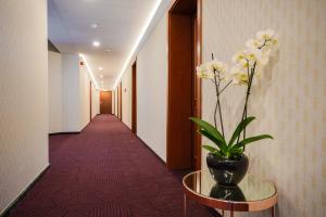 Fotografie z fotogalerie ubytování Hotel Belweder v destinaci Ustroň