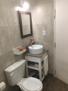 Un baño con inodoro, lavabo y espejo. en Altos de Ayelen, en Esquel 46 fotos más