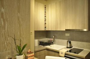 A kitchen or kitchenette at Agias Sofias Street Luxurious Studio