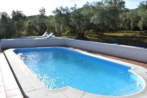 a swimming pool on a patio with trees in the background at CASA RURAL ALEJO in Málaga