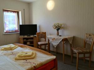 Zimmer mit einem Bett, einem Tisch und einem TV in der Unterkunft Ferienwohnung Hänel in Hinterhermsdorf