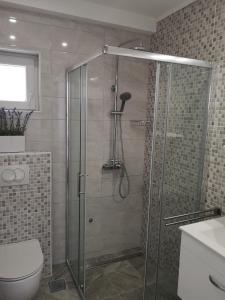 y baño con ducha y puerta de cristal. en Apartman Darica Vid, en Primošten