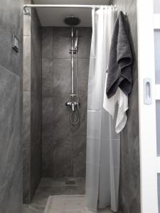 A bathroom at Belvárosi apartman