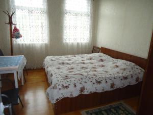 um quarto com uma cama e uma janela com cortinas em Guesthouse Sesili em Batumi