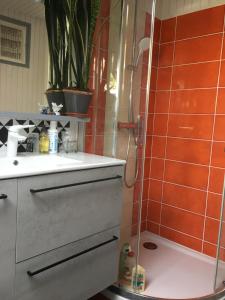 a bathroom with a shower and a sink and a toilet at Chambres d'hotes Chez Annie in Brélès