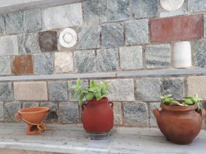 three potted plants sitting on a ledge in front of a brick wall at Margarita Studios in Parikia