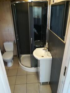uma casa de banho com um chuveiro, um lavatório e um WC. em Leśna Domek Dębki em Dębki