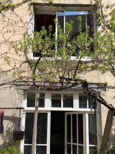 a window with plants on top of it at Grand studio tout confort sur cour in Champagnole