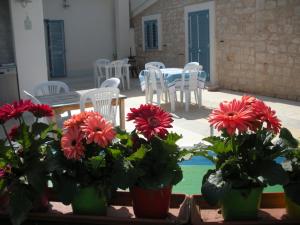 Casa vacanze La Meridiana في دونالوكاتا: مجموعة من الزهور تواجه طاولة وكراسي