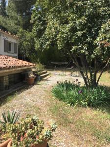 a garden with plants and a table and a tree at T2 L'Escapade in La Ciotat