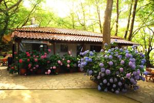 a display of flowers in front of a building at Parselia in Therma