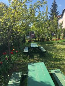a picnic table in a park with flowers at Luxury Eagle apartman in Budapest