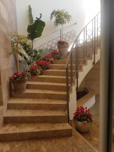 Fotografie z fotogalerie ubytování VILLA CANNITO v destinaci Turi