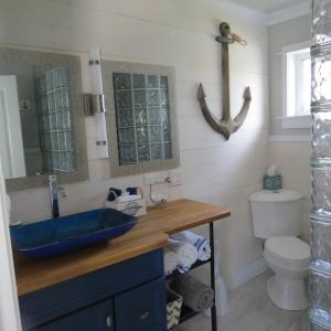a bathroom with a blue sink and a toilet at Tanbark Shores Guest Suite in Brookings